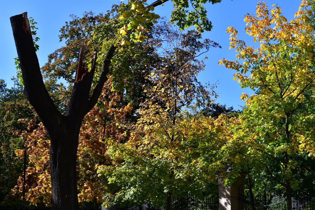 2019-10-12 Wrocław/DSC_2664.JPG